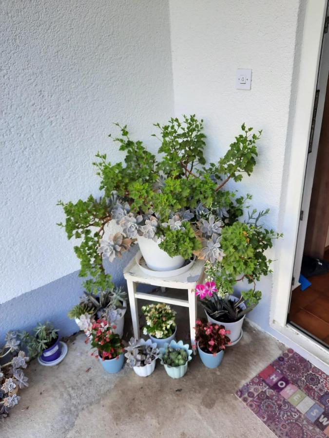 Apartmani Gracela Водице Екстер'єр фото